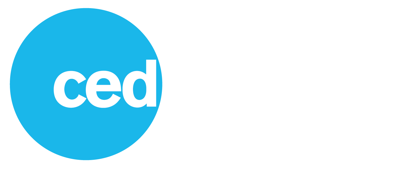 CED Services Security